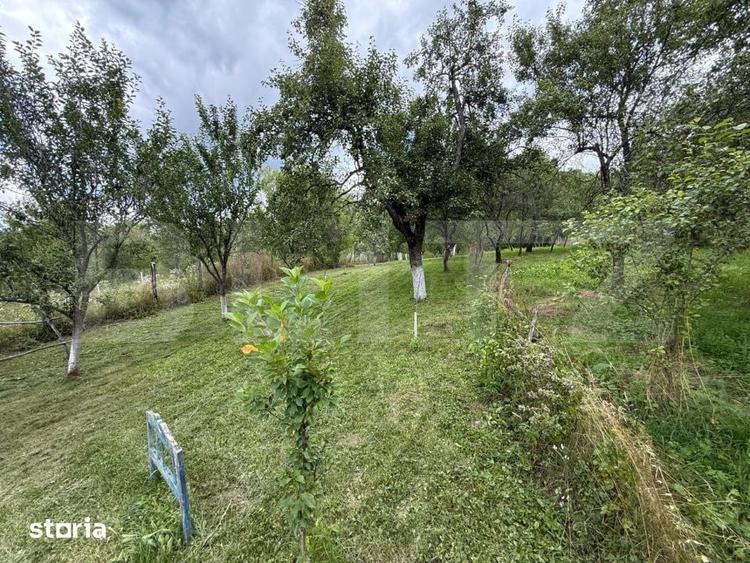 Casă cu 4 camere cu Teren 1500 Mp în Golești