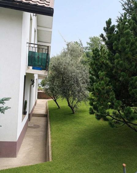 Casă cu 3 camere în Valea Borcutului