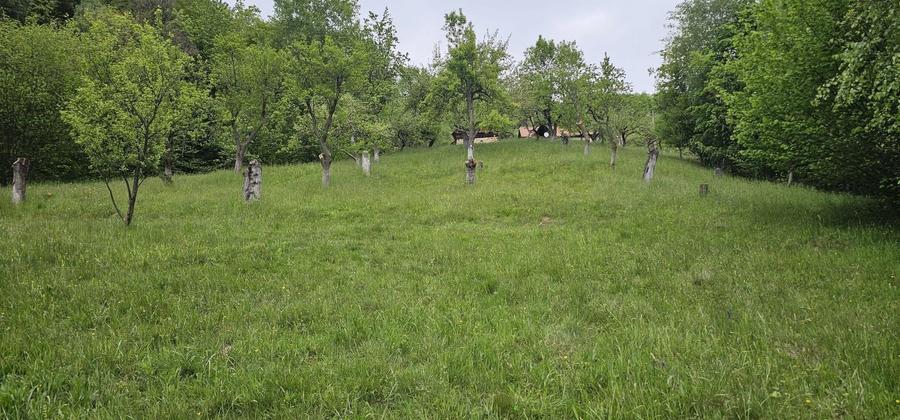 Teren Construcții intravilan de 17422 mp, în Sud-Est