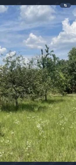 Teren de 5 mp, în Ciofliceni