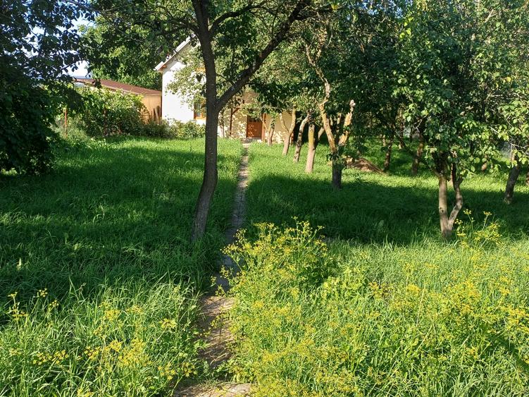 Casă individuală cu 3 camere cu Teren 1576 Mp în Vechea