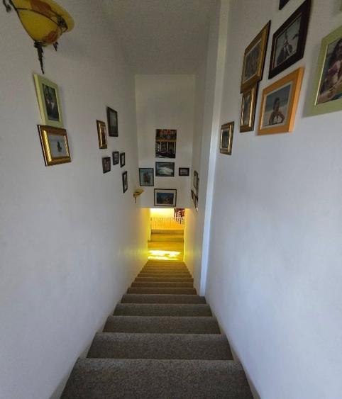Casă individuală cu 5 camere cu Teren 4000 Mp în Podgoria