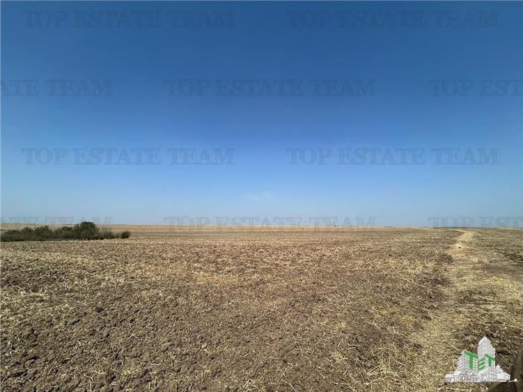Teren agricol extravilan de 4200 mp, în Șimnicu de Sus