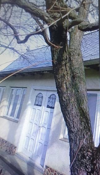 Teren în Central