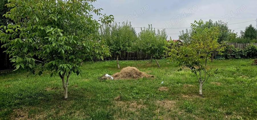 Casă cu 4 camere în Nisipoasa