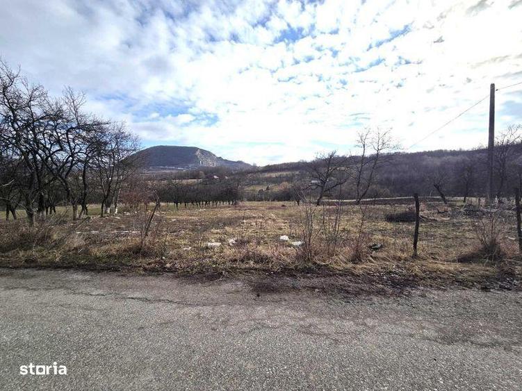Teren de 3800 mp, în Mirșid