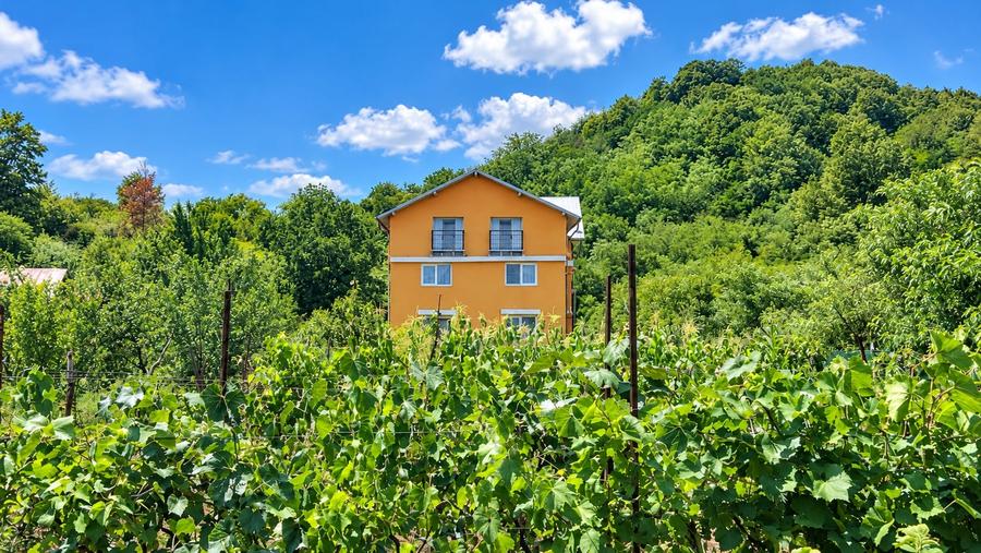 Casă individuală cu 7 camere cu Canalizare în Filipeștii de Pădure