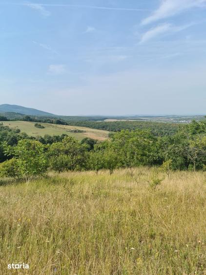 Teren de 2800 mp, în Central