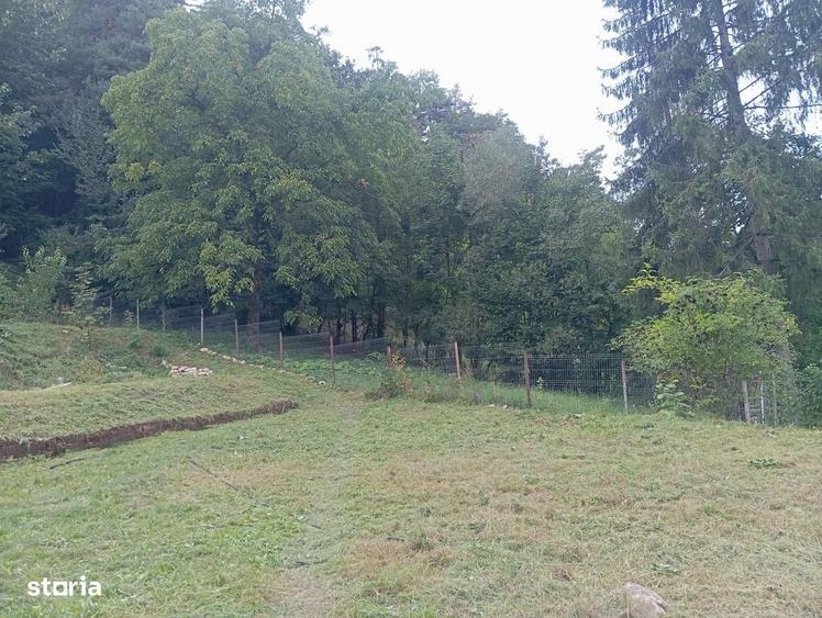 Casă cu 3 camere în Central