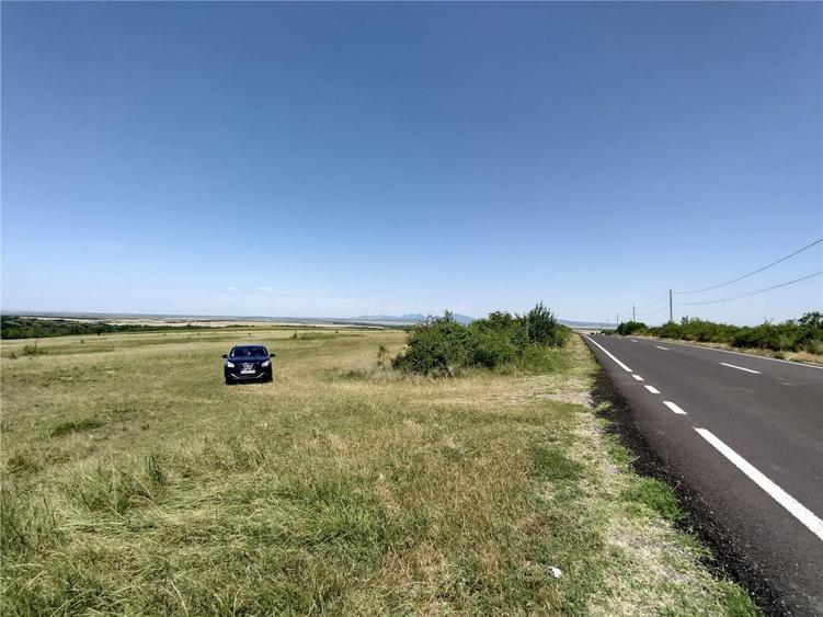 Teren de 14500 mp, în Nicolinț