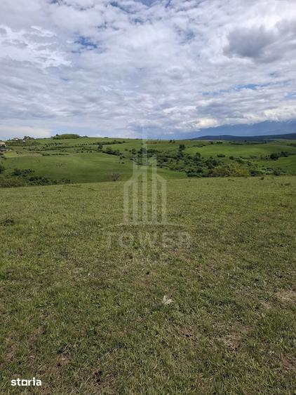 Teren de 11500 mp, în Roșia