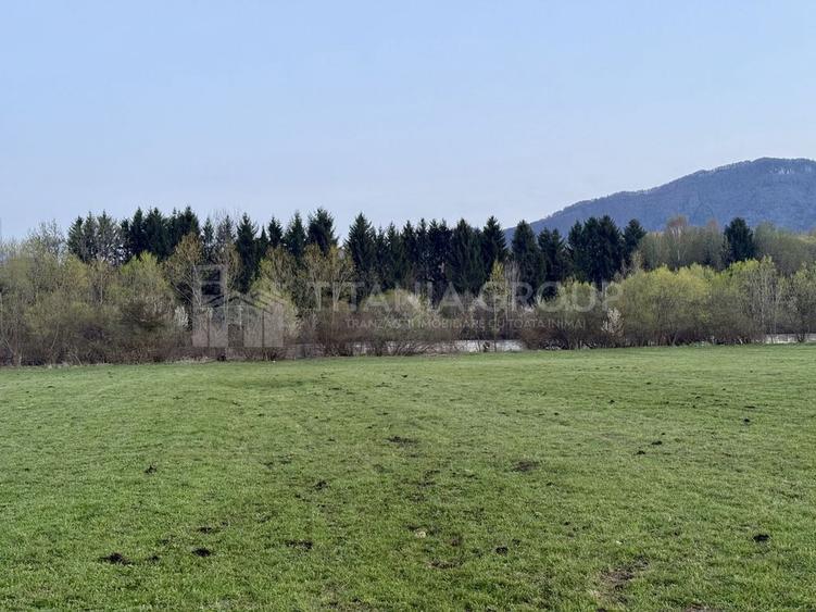 Teren de 7838 mp, în Central
