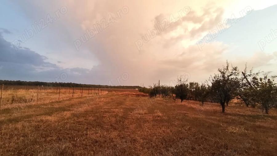 Teren de 800 mp, în Vladimirescu