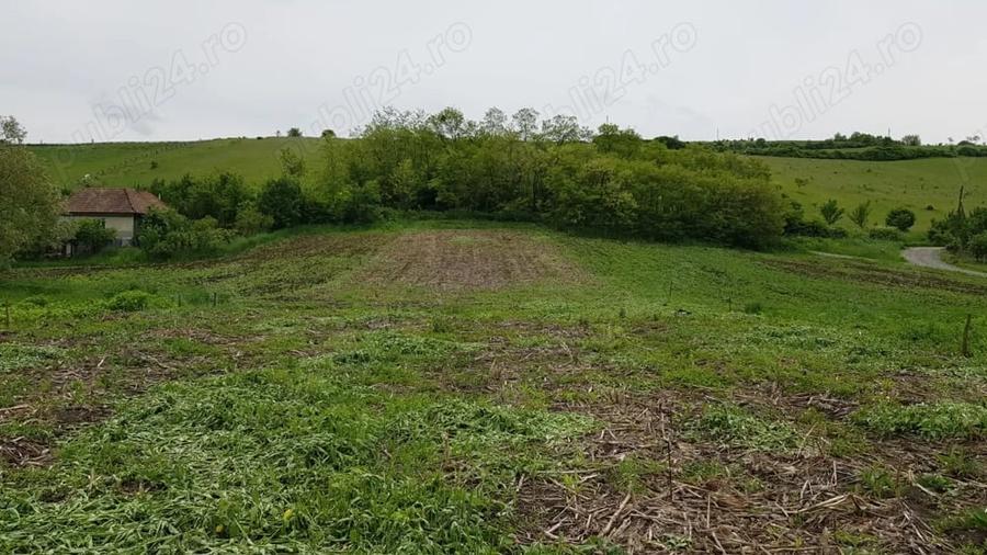 Teren de 2900 mp, în Căianu