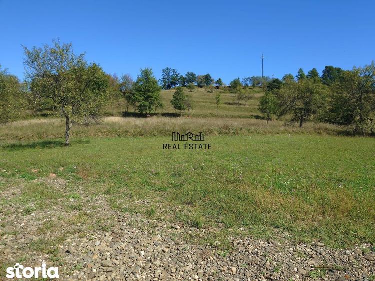 Teren de 8757 mp, în Luncoiu de Jos