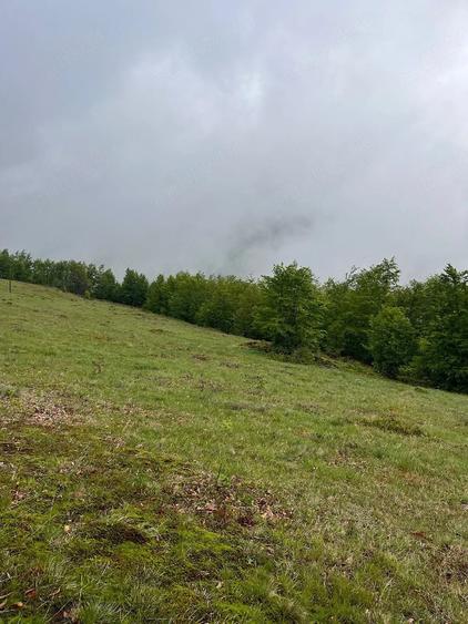 Teren de 15000 mp, în Bubești