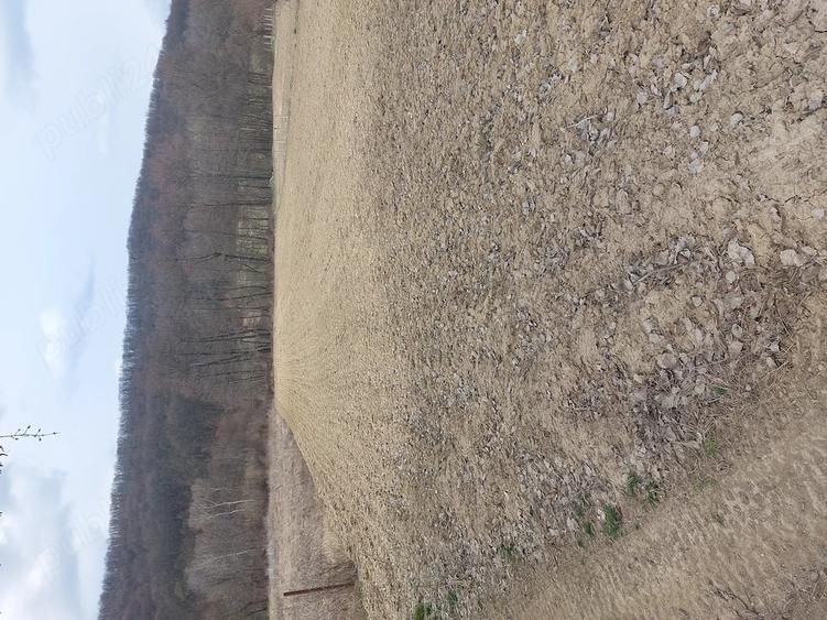 Teren de 1100 mp, în Central