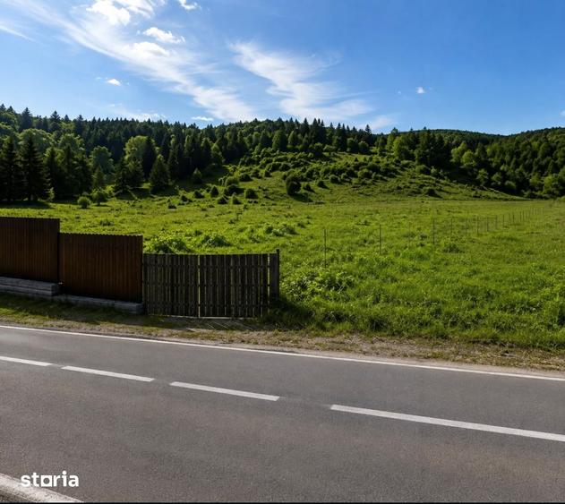 Teren de 33324 mp, în Tulgheș