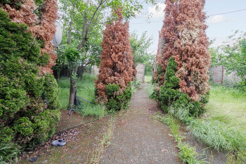 Teren Construcții intravilan de 900 mp, în Grădiștea
