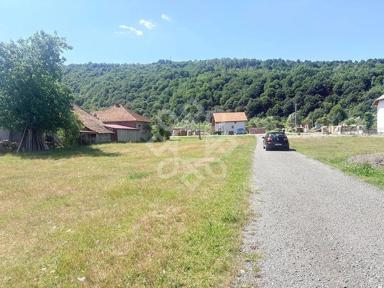 Teren Construcții intravilan de 4031 mp, în Negreni