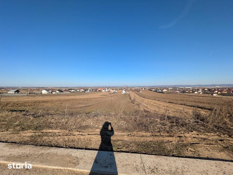 Teren de 10000 mp, în Săucești