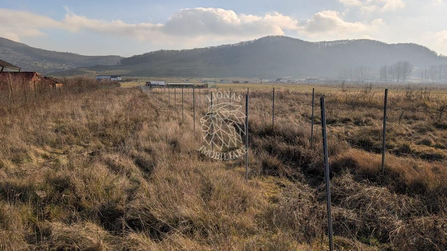 Teren Construcții intravilan de 560 mp, în Sud