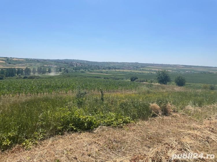 Teren de 1200 mp, în Paleu