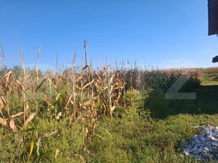 Teren intravilan 5.000 mp in Bungetu, langa lacuri de pes - 4
