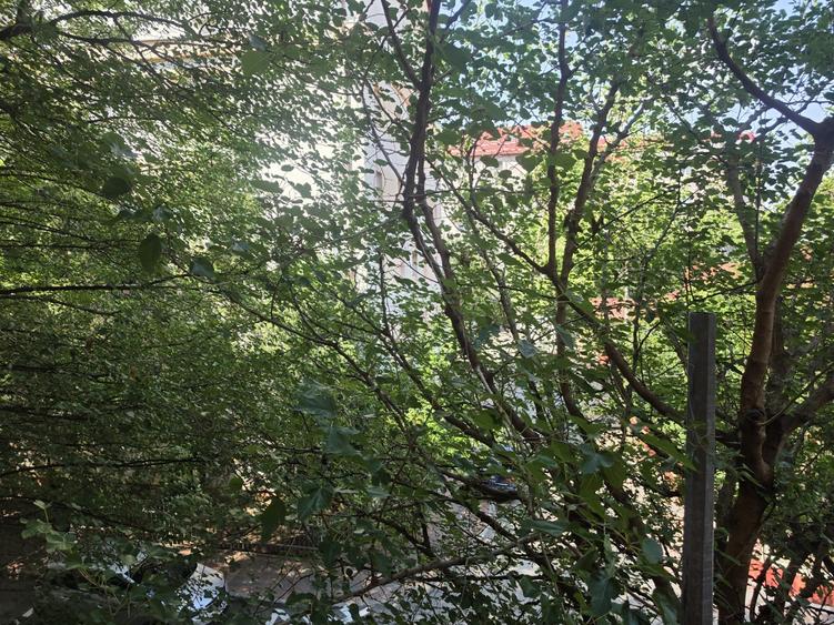 Fizicienilor/Lacramioarei garsoniera de vanzare - 9