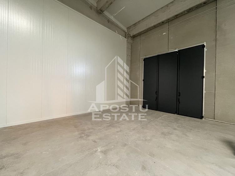 Spațiu industrial, de 1,046 mp, în Sânandrei