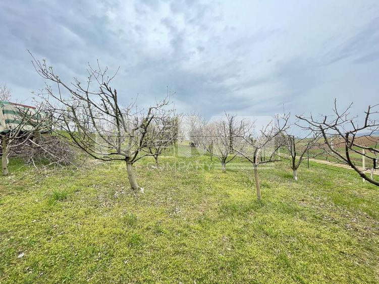 Teren Construcții intravilan de 24 mp, în Lisaura