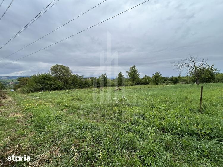 Teren intravilan de vanzare in Daia Noua 1.000 mp - 4