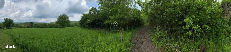 Teren de 15900 mp, în Năeni