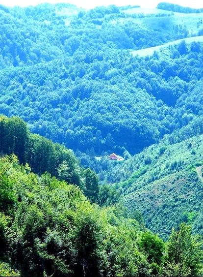 Casă cu 4 camere în Troaș