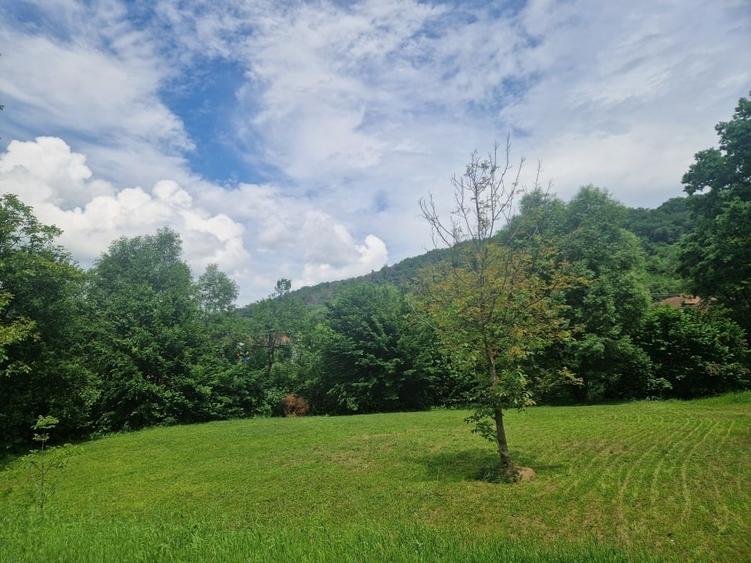 Teren Construcții intravilan de 2100 mp, în Est