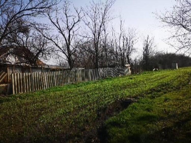 Teren de 5000 mp, în Central