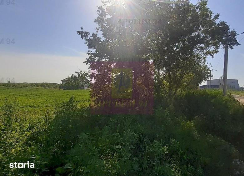 Teren de 5000 mp, în Copăceni
