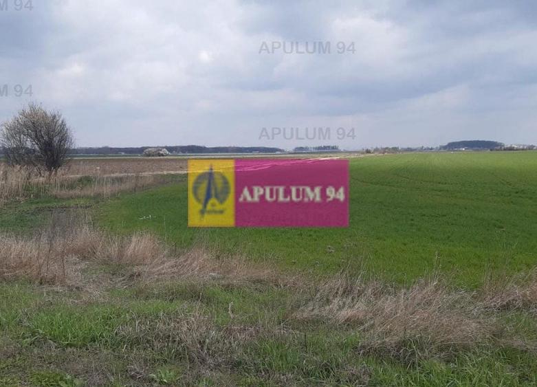 Teren Construcții intravilan de 5110 mp, în 1 Decembrie