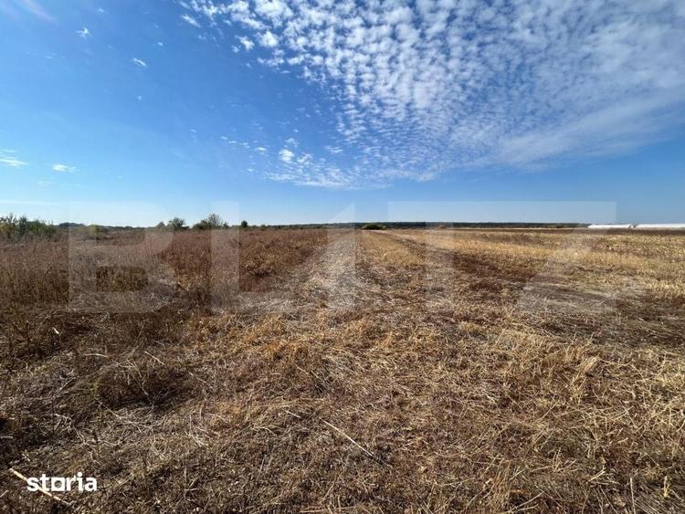 Teren de 3600 mp, în Central