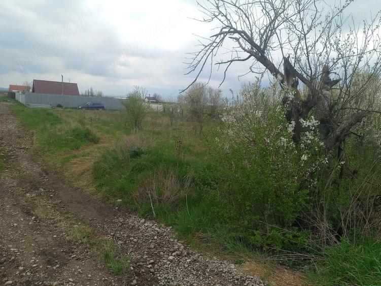 Teren intravilan in Sanpetru, suprafata 900mp - 2