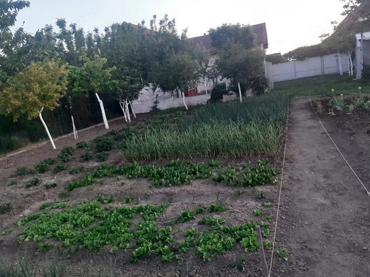 Casă cu 3 camere cu Teren 917 Mp în Iohanisfeld