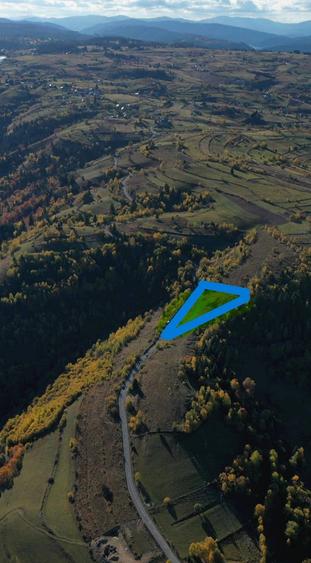 Teren de 8461 mp, în Sava