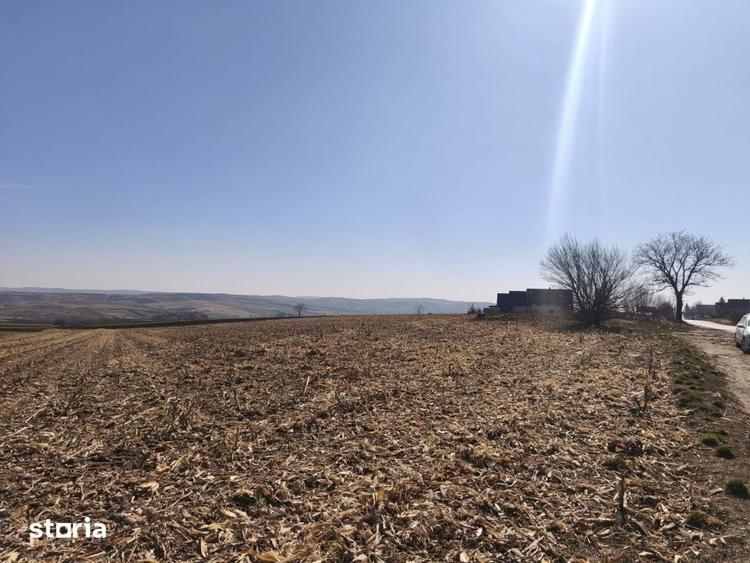 Teren de 6500 mp, în Grănicești