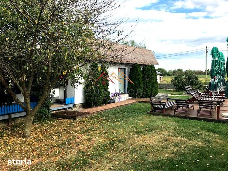 Casă cu Teren 1500 Mp în Crișan