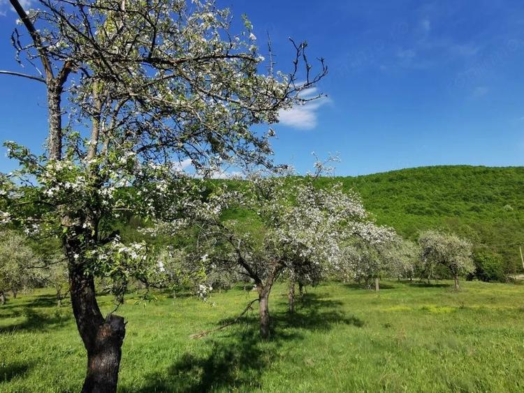 Teren de 680 mp, în Budeasa