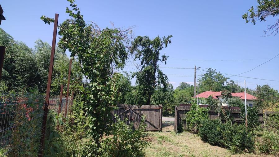 Casă cu 2 camere în Horia