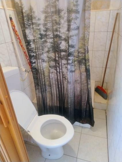 Garsonieră decomandată în Buziașului