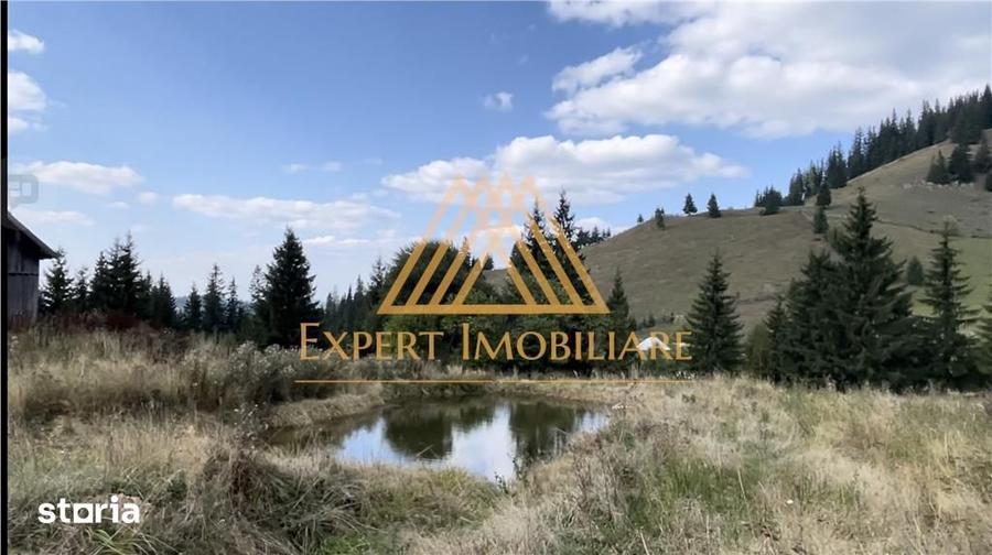 Casă cu 4 camere cu Teren 29000 Mp în Central