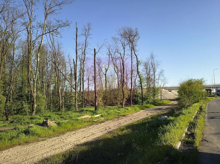 Teren de 4370 mp, în 1 Decembrie
