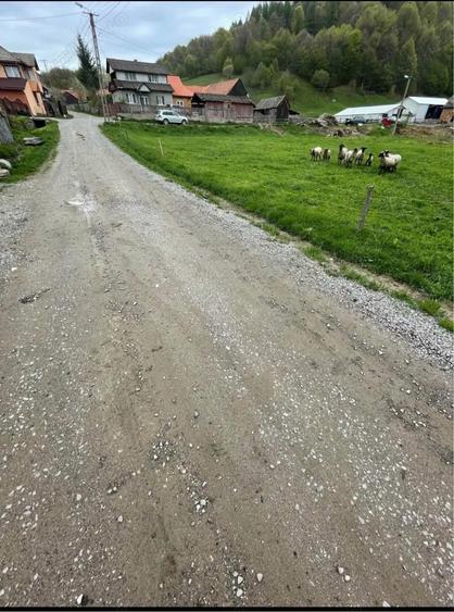 Teren de 1500 mp, în Vama Buzăului